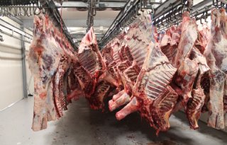 Vleessector+legt+verantwoordelijkheid+neer+bij+boer