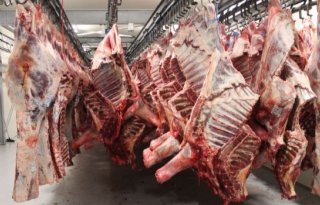 COV%3A+vleestaks+frustreert+duurzame+productie+