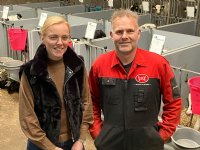 Geen verschil in management vaars- en stierkalveren