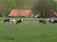 'Geen NB-vergunning buiten 250-meterzone'