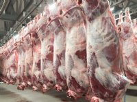 Inzet NVWA goedkoper maar KDS-tarief hoger