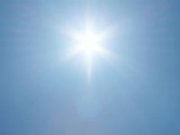 Zomer al voelbaar in verkoop kalfsvlees