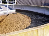 Aanpassing excretieforfaits uitgesteld