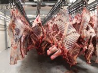 Inval bij verwerker van rund- en kalfsvlees