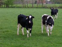 ‘Landbouw dreigt sluitpost te worden’