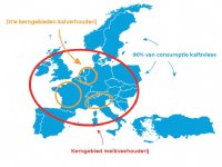 Kalfvlees: typisch Europees vleesproduct