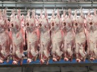 Krimp veestapel dwingt vleessector tot sanering