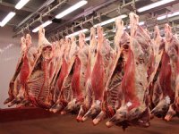 VleesNL verzet zich tegen verbod uitzendkrachten