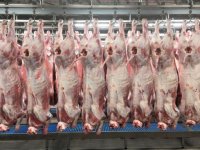 Vleessector zet in op beter arbeidsbeleid