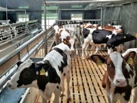 Drie jaar extra voor legalisering PAS-melders