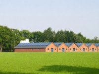 Kabinet wil verbeteringen doorvoeren in stikstofbeleid
