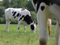 Oproep: chaos in provinciale plannen moet stoppen