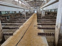 Hier afbreken, in Oost-Europa weer opbouwen