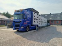 ‘Laden zonder veeprikker is mogelijk’