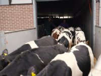 Rust tijdens laden in plaats van prikken