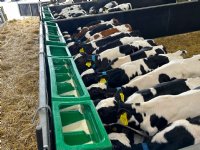 Denkavit rolt melkvoeding breed uit op verzamelcentra