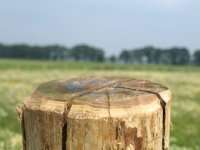 LTO blijft bij standpunt, ondanks kritiek op stikstofaanpak