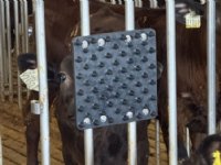 Rubber noppenplaat als alternatief voor borstel