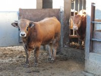 Eerste beperkingszone in zuiden Frankrijk opgeheven