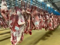 Franse kalverproductie daalt met 9 procent