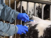 Kleine fouten, grote gevolgen