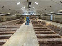 Noord-Brabant: 15 procent stikstofruimte na stoppen