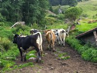 Drie van vijf Franse beschermingszones opgeheven