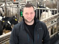 ‘Oudere kalveren vragen meer werk’