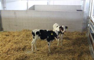 E%26eacute%3Bn+op+zes+geeft+elektrolyten+op+transportdag