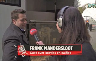 Kalverhouder+verrast+3FM+producer+met+kalf+voor+verjaardag