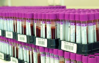 Resistentie+tegen+antibiotica+afgenomen