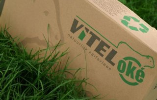 Vitel%2Dok%26eacute%3B+verkozen+tot+Liegebeest+2016