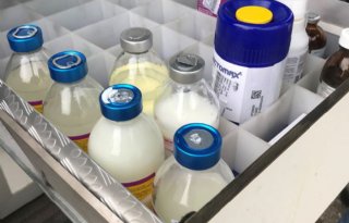 %27Voerkwaliteit+bepalend+voor+minder+antibiotica%27