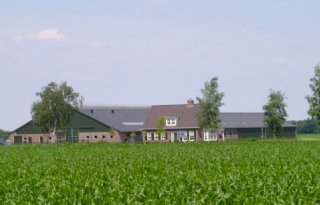 Brabant wil legale vergunningen intrekken, ZLTO ziedend