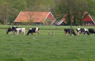 Niet+iedereen+blij+met+stikstofvoorstel