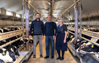 'Lichte zwartbonten blijven langer in eenlingbox'