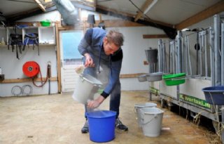 %E2%80%98Kalveropfok+is+een+vak+apart%E2%80%99