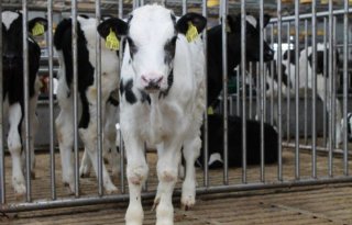 NVWA+intensiveert+controle+op+niet%2Ddeelnemers