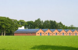 Kabinet wil verbeteringen doorvoeren in stikstofbeleid