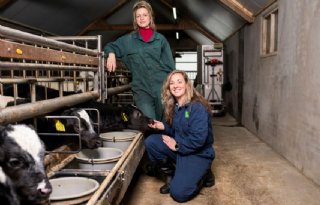 Jongerendag ‘Het Kalf Centraal’ zet in op samenwerking in keten