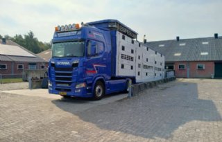 ‘Laden zonder veeprikker is mogelijk’