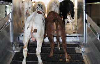 Veiliger+laden+in+vier+stappen