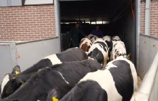 Rust tijdens laden in plaats van prikken