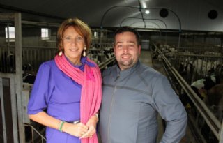 Kalf+pas+op+transport+na+vinkje+%E2%80%98fit+to+travel%E2%80%99