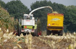 Vanggewas+Noord%2DNederland+mag+later+de+grond+in