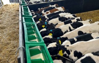 Denkavit rolt melkvoeding breed uit op verzamelcentra