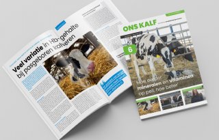 Zesde editie magazine Ons Kalf