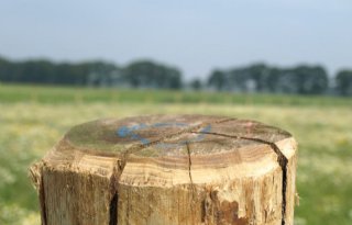 Meer+staatssteun+mogelijk+voor+boeren