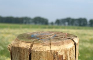 Uitkopen+piekbelasters+helpt+natuur+niet