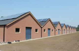 Nieuwe+innovatieregeling+voor+Gelderse+kalverhouders